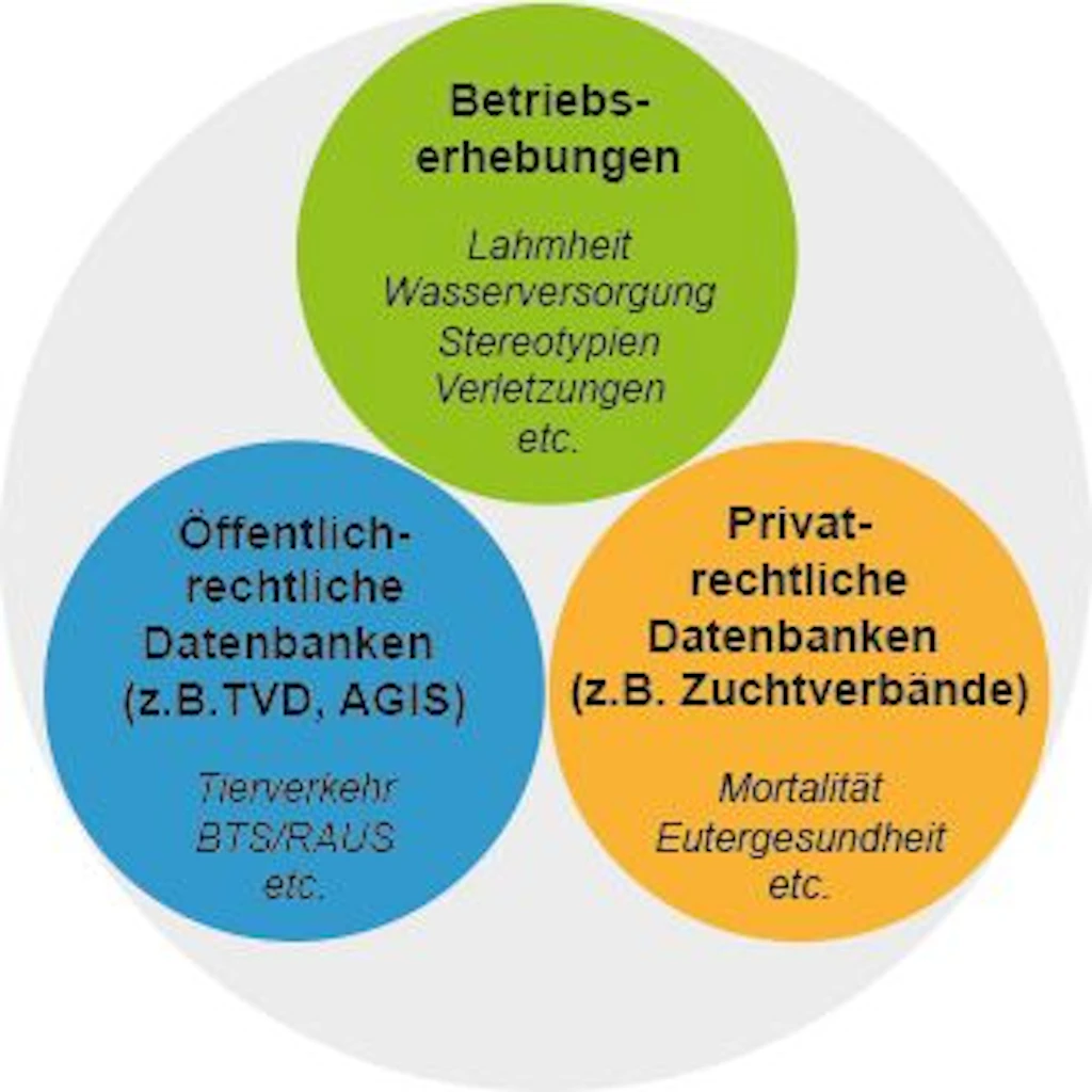 Grafik mit drei überlappenden Kreisen: Betriebserhebungen sowie öffentlich- und privatrechtliche Datenbanken. Zusammen bilden sie die Datenbasis von «Smart Animal Health».