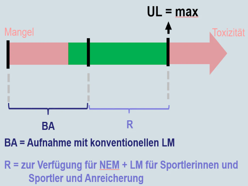 Grafik Höchstmengenmodell - Aufnahme mit konventionellen Lebensmitteln