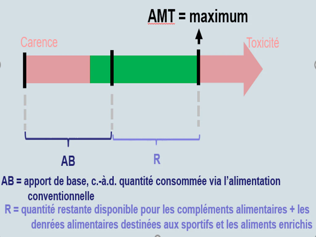 Graphique Modèle des quantités maximales - Absorption avec des aliments conventionnels