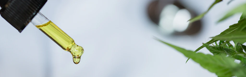 Pipette contenant de l'huile de CBD jaunâtre, à côté d'une feuille de cannabis floue.