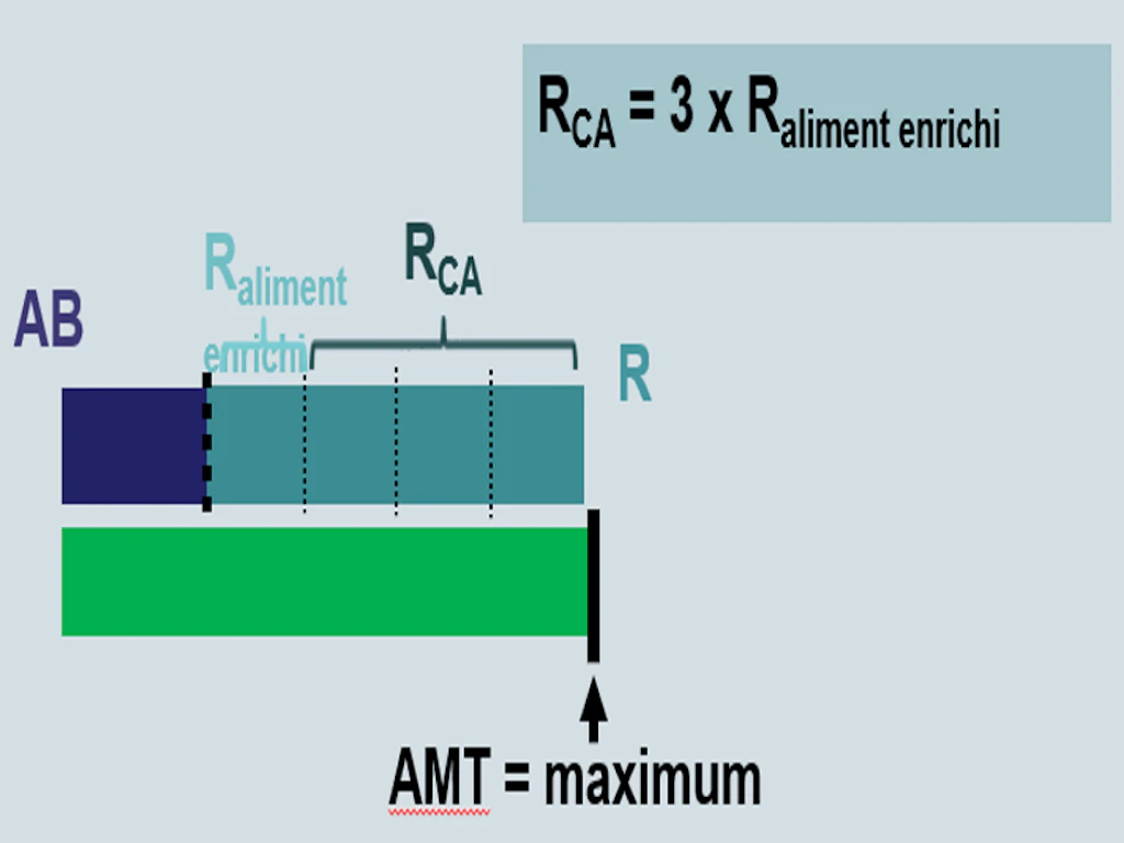 Graphique Modèle des quantités maximales - Quantité restante