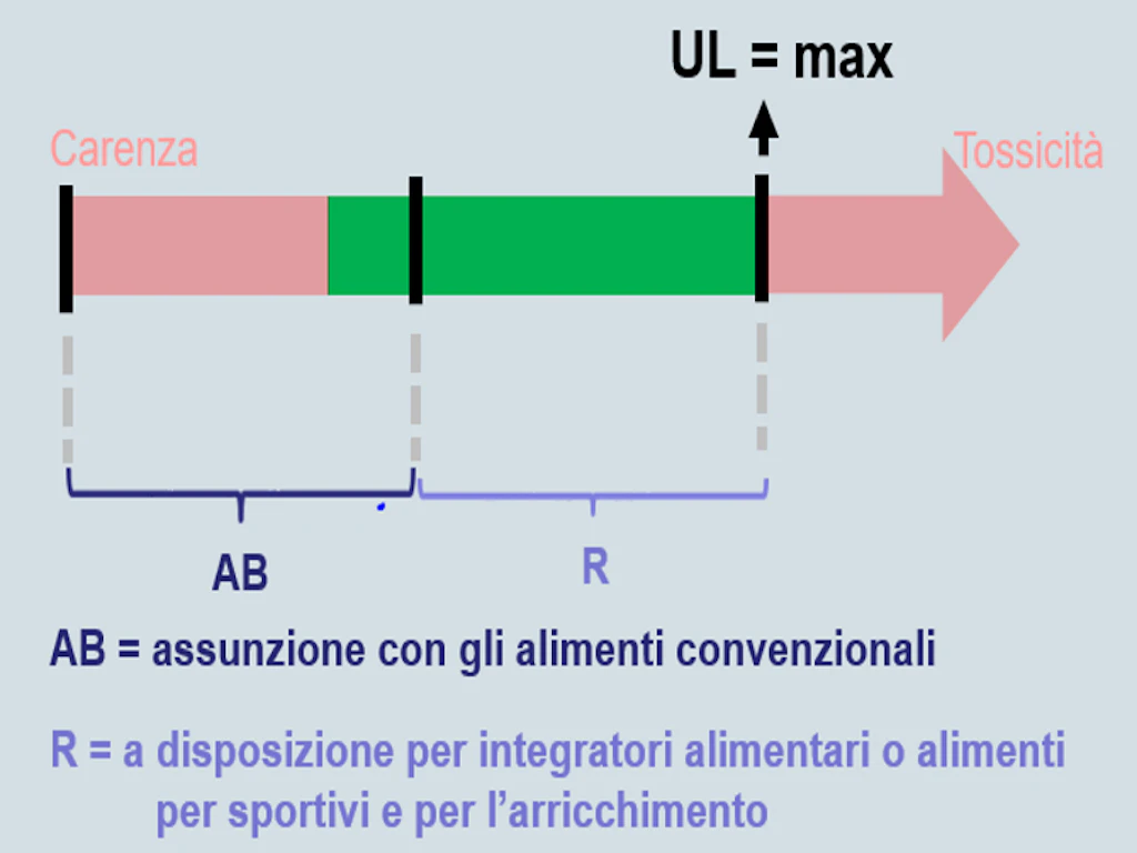 Grafico Modello dei quantitativi massimi - Assunzione con alimenti convenzionali